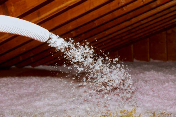 Best Spray Foam Insulation in Palacios, TX