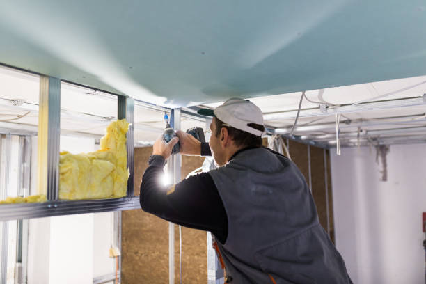 Types of Insulation We Offer in Palacios, TX