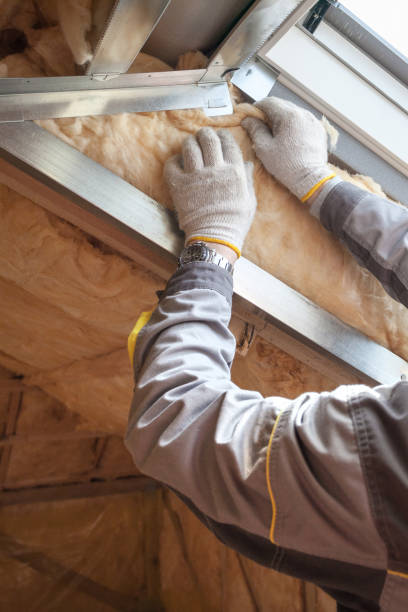 Best Residential Insulation in Palacios, TX