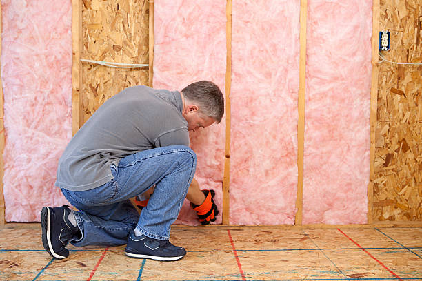 Best Energy Efficiency Insulation in Palacios, TX